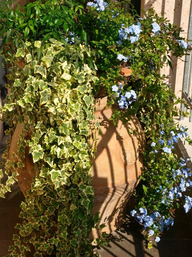 Aparthotel Alle Palme Riva del Garda